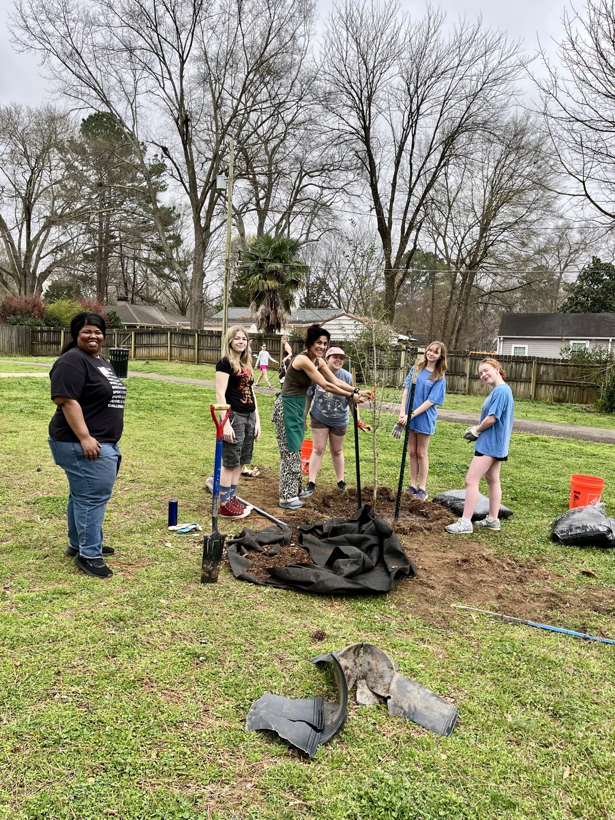 Digging in — setting a new tree along the park’s edge.