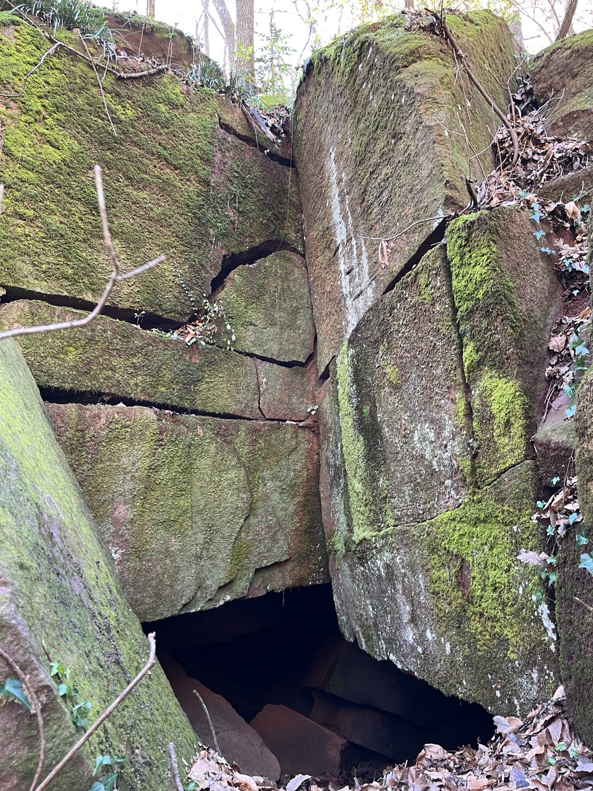 A drift mouth still open at the Wilkomont site, framed by the squared sandstone the miners cut and stacked more than a century ago. Photographs by Todd Russell.