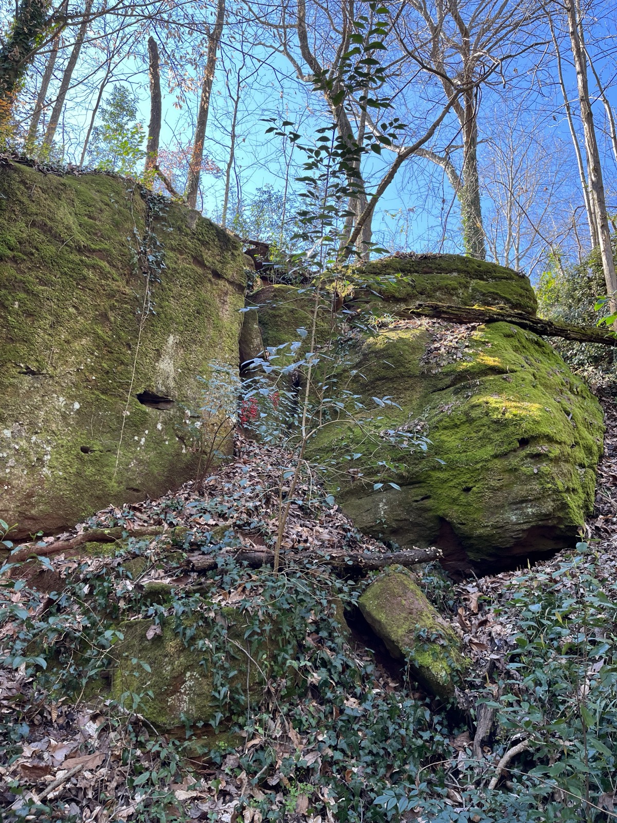 What is left of the Wilkomont mine today: massive blocks of cut sandstone in the woods above Montclair Road, moss-covered and slowly going back to the mountain.