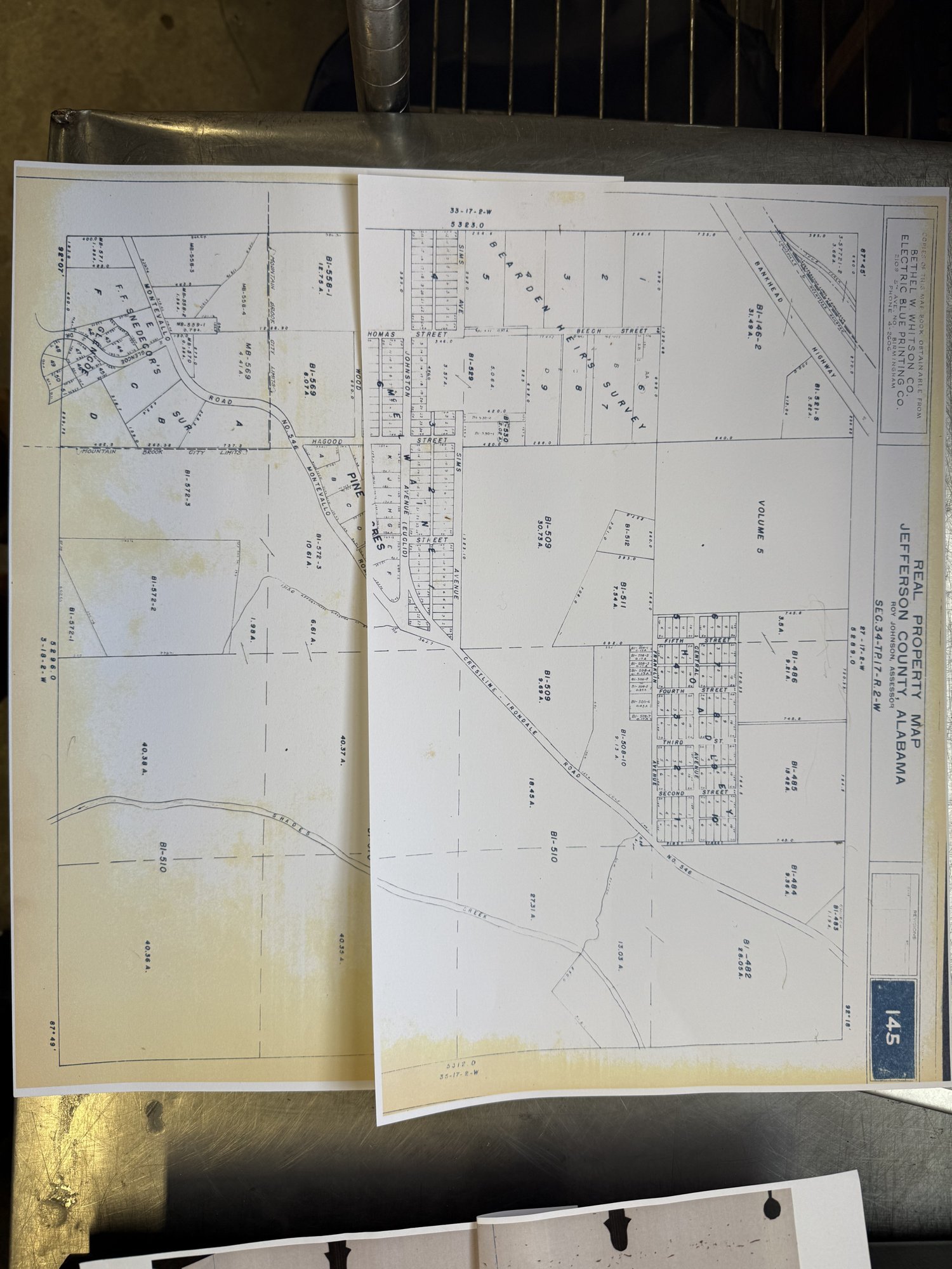 Oak Tree Illustration &mdash; Watercolor