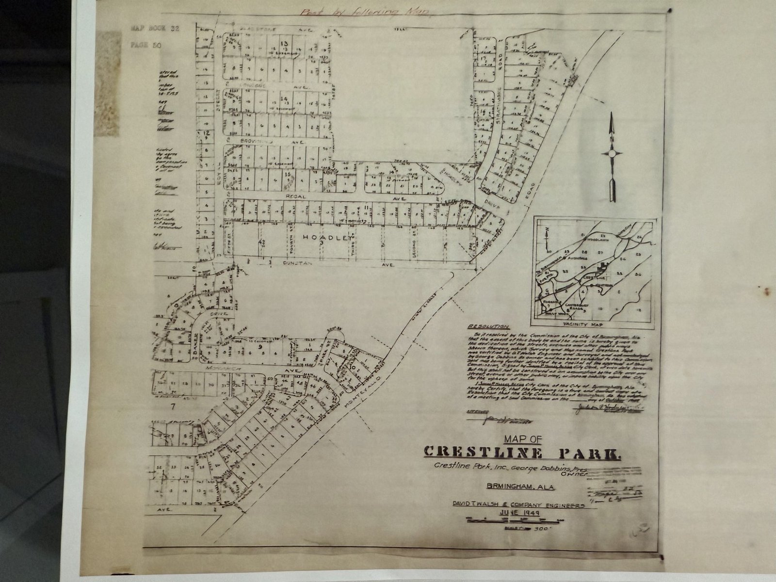 Oak Tree Illustration &mdash; Classic