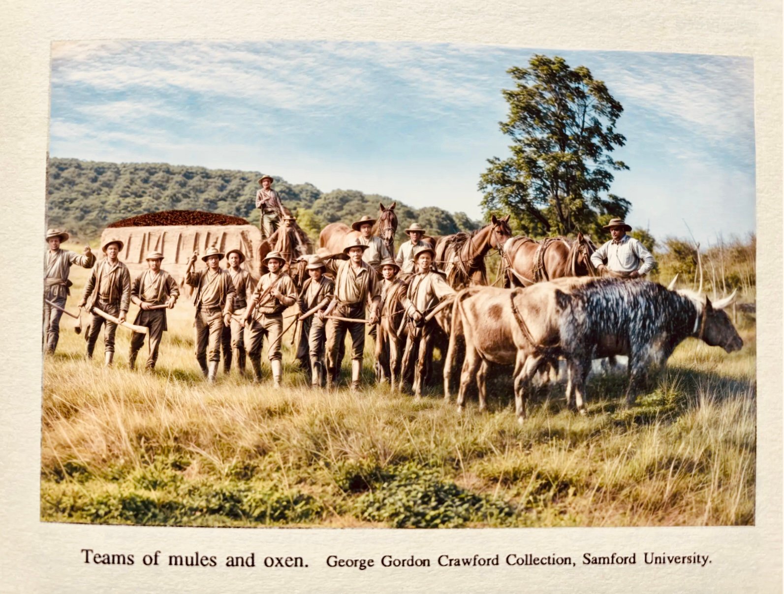 Farming Heritage &mdash; Crawford Collection, Samford University